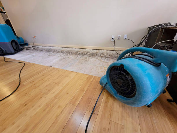 Professional Water Removal technician working in Verona, OH
